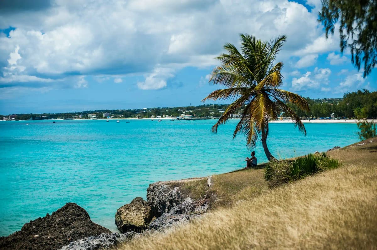 Barbados landscape
