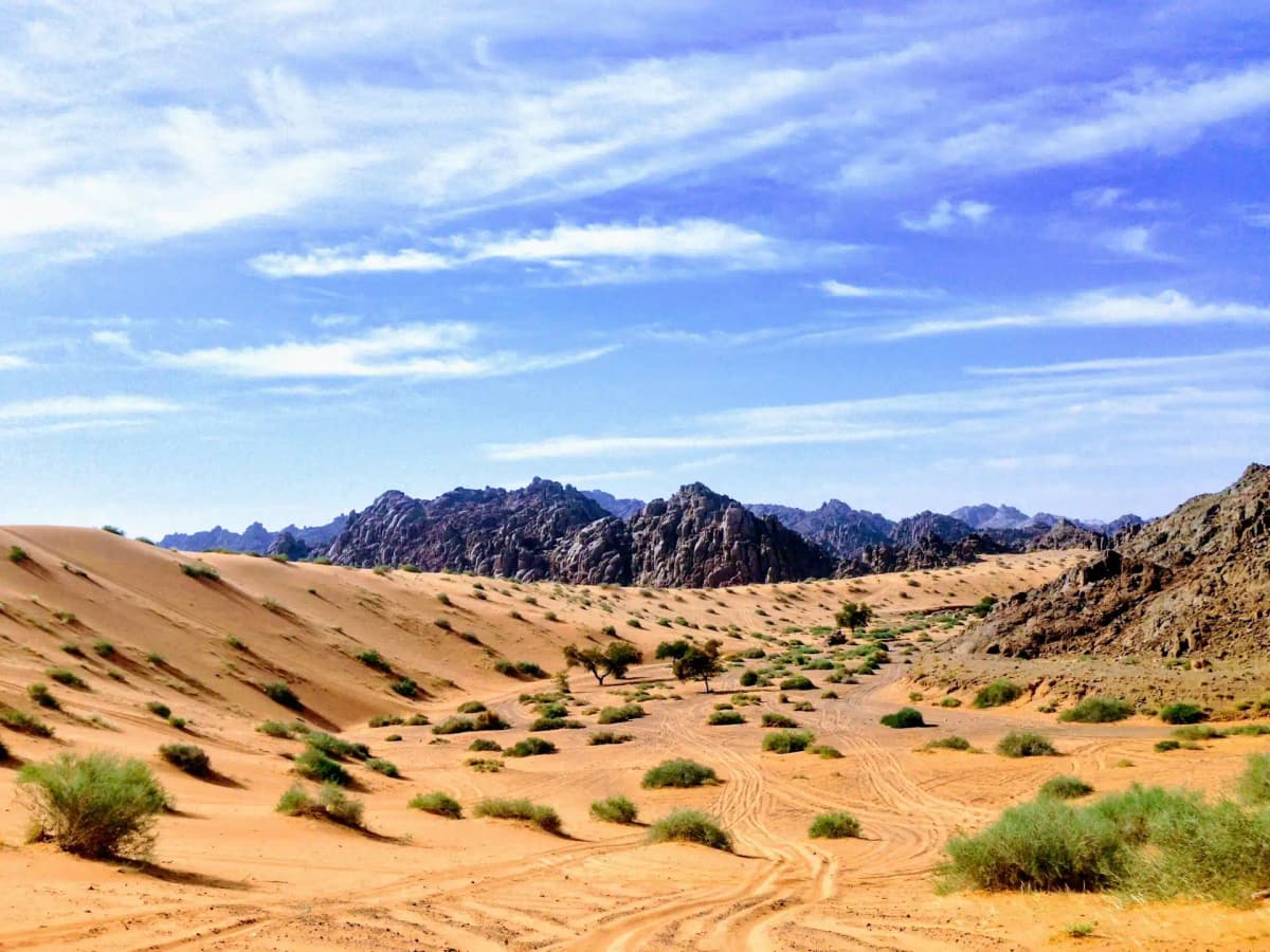 Saudi Arabia landscape